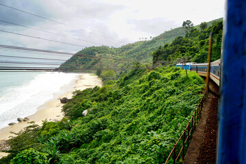Train running through the jungle along the sea