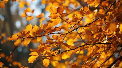 a tree branch with orange leaves