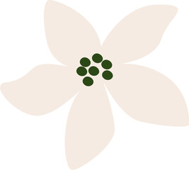 Tropical Flower Leaf