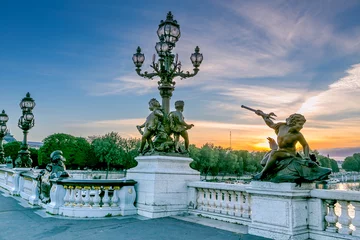 Gartenposter Pont Alexandre III Alexander III Bridge in Paris at sunset