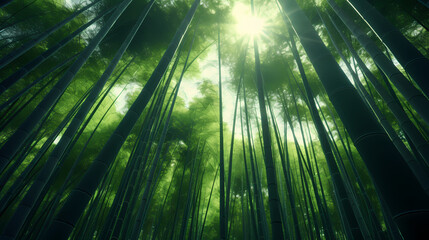 Fototapeta na wymiar Tranquil bamboo forest, tall bamboo stalks create a dense and peaceful atmosphere