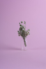 bouquet of flowers on a pink background spring still life