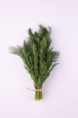 bunch of green fresh dill stems on white background