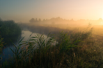 Sunrise over the river