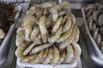 Crustaceans are invertebrate animals of the subphylum Crustacea a large, diverse group of mainly aquatic arthropods including decapods (shrimps, prawns, crabs, lobsters and crayfish). Fortaleza-Brazil