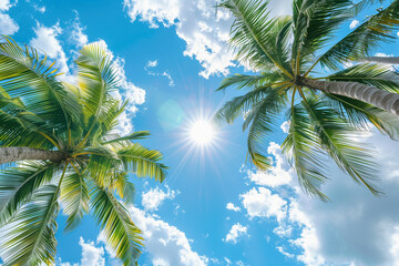 Fototapeta na wymiar palms, sky and sun background (1)