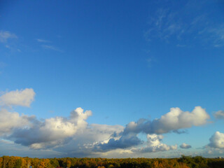 The sky over the forest in autumn