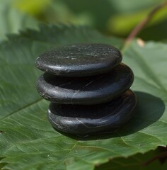 a shiatsuacupressure stone stack sitting on a green leaf