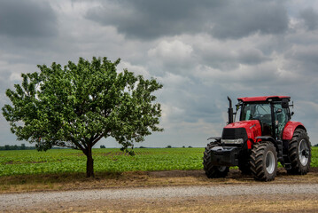 red tractor stands near the field, lonely tree with a round crown on storm clouds, power in agriculture