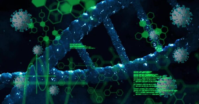 Animation of viruses, elements and data processing over dna on black background