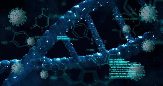 Animation of viruses and data processing over dna on black background
