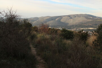 Beautiful Nature Landscape Wild Nature