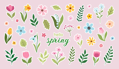 Floral spring vector stickers. Flower vector illustration - obrazy, fototapety, plakaty