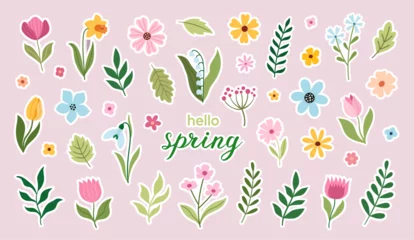 Tuinposter Floral spring vector stickers. Flower vector illustration © Myurenn