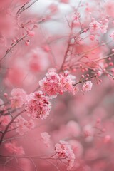 a pink blossoming cherry tree in the forest, in the style of soft and dreamy atmosphere, chinese tradition, out of focus, symmetrical arrangements, 