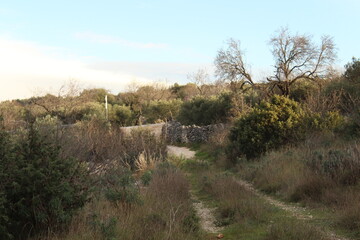 Obraz premium Beautiful Nature Landscape Wild Nature