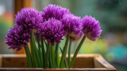 Fototapeta premium a close up of a bunch of purple flowers in a wooden box with a blurry window in the background.