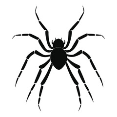 Spider black Silhouette vector.