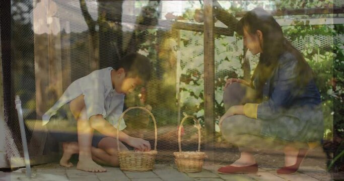 Animation of forest over asian siblings picking eggs