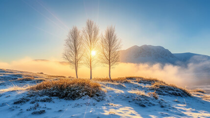 a couple of trees standing in the middle of a snow covered field with the sun shining through the clouds behind them.