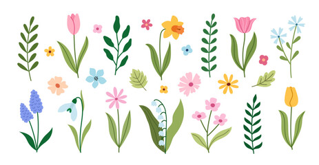 Spring flowers for decoration. Doodle vector illustration