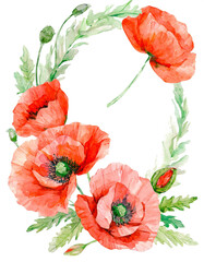 Red poppies flower watercolor illustration. PNG clipart