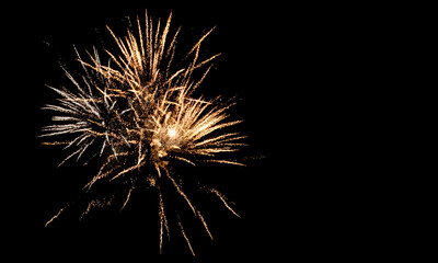 Fireworks in the night background. © Floren Horcajo