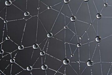 This image captures the intricate beauty of water droplets poised delicately on a spider's web, each droplet reflecting light to reveal a complex network
