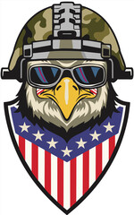vintage eagle graphics on the background of the American flag