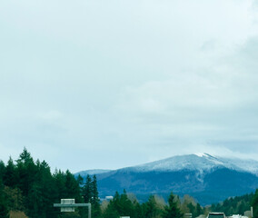 Fototapeta na wymiar Issaquah, Washington - Tiger Mountain in winter