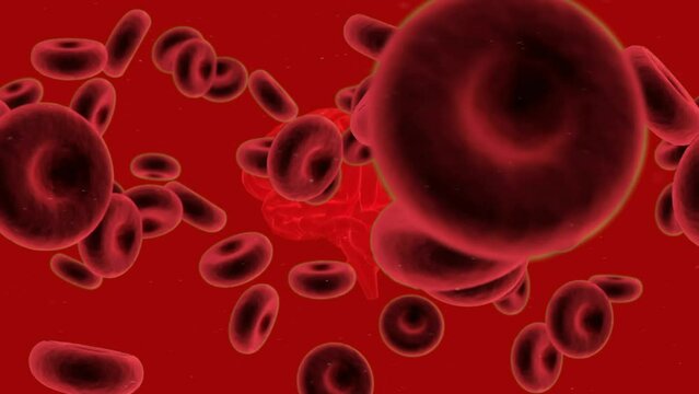 Animation of blood cells over cells on red background