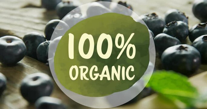 Animation of 100 percent organic text over blueberries