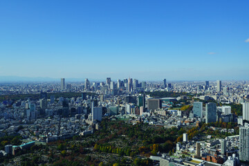 Tokyo Shinjyuku cityscape at daytime