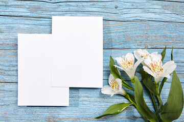 Two white blank card mockups lying parallel on a textured blue wooden surface, flanked by delicate...