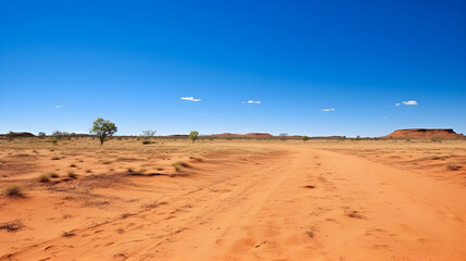 Fototapeta na wymiar Expansive Australian Outback with Breathtaking Landscape and Endless Horizon