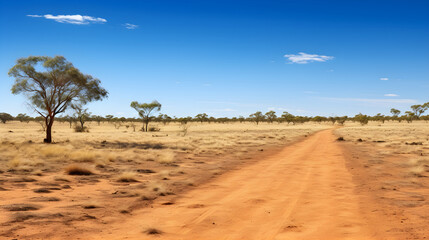 Fototapeta na wymiar Expansive Australian Outback with Breathtaking Landscape and Endless Horizon