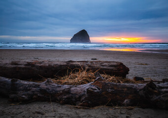 Pacific City Beach with a large, uprooted tree trunk in the foreground at Cape Kiwanda in Pacific City on the Oregon Coast, where darken shape of Haystack Rock is seen in the distance
