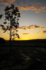 Beautiful sunset, between trees, seen in the Três Marias dam region, Minas Gerais, Brazil.