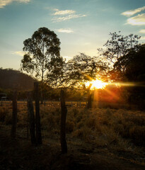 Beautiful sunset between trees and the blue sky. Januária, north of Minas Gerais.
