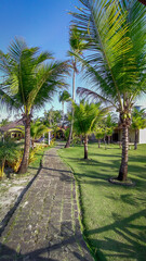 Garden with many coconut trees and a stone path that leads to a restaurant in the middle of an island with lots of forest and blue sky in Corona Vermelha Bahia