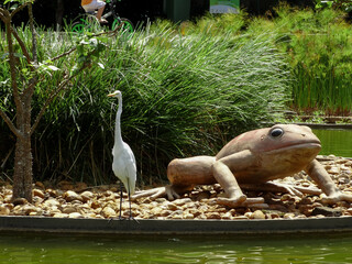 Heron perched amidst small tree and frog-shaped stone sculpture in artificial lake in park.