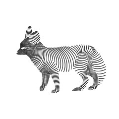 Fototapeta na wymiar Simple line art illustration of a fennec fox 3