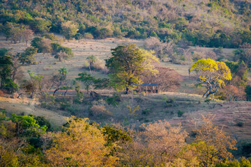 Landscape on a farm with lots of vegetation around, beautiful ipê trees, all amidst mountains, in the Jardim das Oliveiras neighborhood, Esmeraldas, Minas Gerais, Brazil.