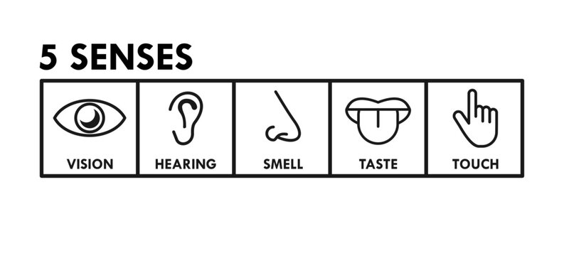 5 senses design template illustration