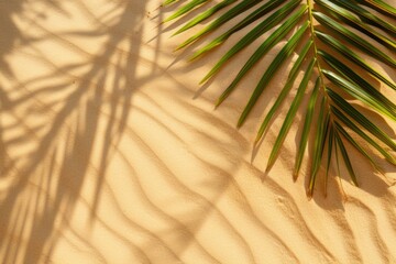 Obraz premium Sand texture. Sandy beach with palm shadow for product background. Top view