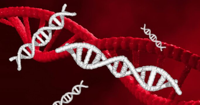 Animation of dna strands spinning over red background