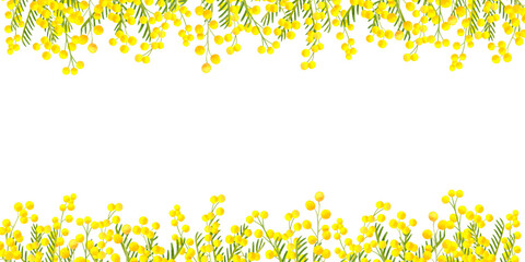 Mimosa yellow spring flower border and frame. Watercolor hand drawn illustration isolated on white background. For design, greeting cards, invitations, congratulations, packaging, printing