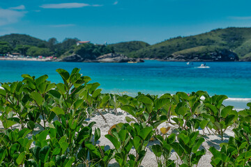 Part of Cabo Frio beach, with plants in the dunes and many mountains in the background, located in Rio de Janeiro.