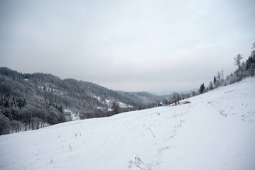 Fototapeta na wymiar A winter landscape: winterwonderland snowscape frosty coldweather snowyday wintermagic winterphotography