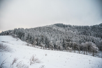 A winter landscape: winterwonderland snowscape frosty coldweather snowyday wintermagic...